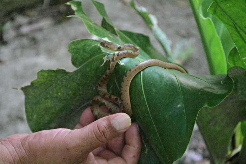 Mexico & Guatemala 2010 - 1088